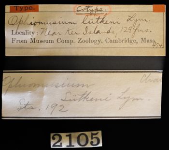Media type: image;   Invertebrate Zoology OPH-474 Description: Labels for this specimen included in the specimen tray.;  Aspect: labels(1)